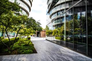 Trees reflecting on glass of office building 