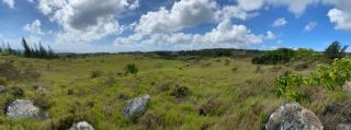Future Barbados wind farm site 