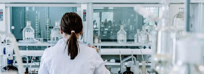 Scientist working on toxicology