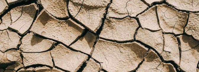 Cracked soil up close