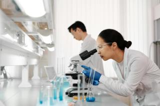 Pharmaceutical scientists working in a laboratory