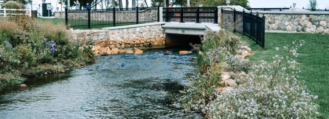 Local environment with bridge, river and plants