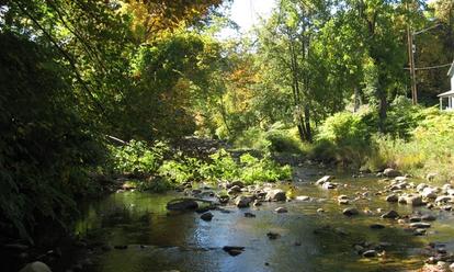 Whetstone Brook and its disconnected floodplain