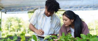 Male and female students checking vegetable growth and taking notes
