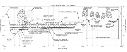 Whetstone Brook floodplain restoration design cross section view
