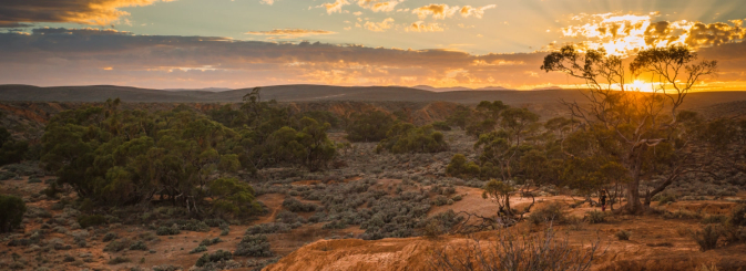 Overhead view of a mine site