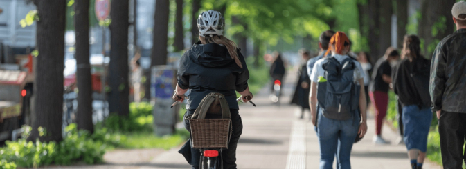 Flyover bridges supporting local infrastructure